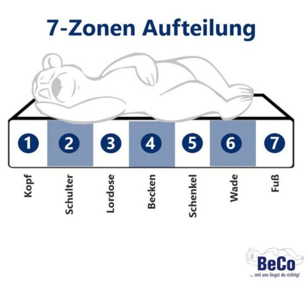 BeCo Selection Sieben Zonen Aufbau